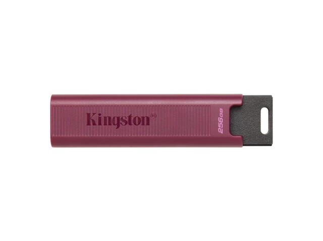 Kingston DataTraveler Max 256GB