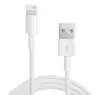 Apple Lightning / USB 0,5 m Hvid