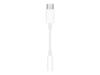 Apple MW2Q3ZM/A lydkabel USB-C 3.5mm Hvid